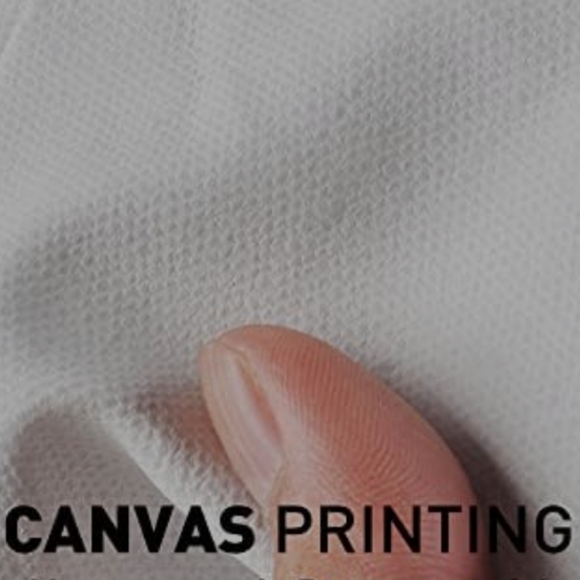 Doja Cat "Planet Her" Music Art Album Canvas Poster, Unframed - Picture 3 of 3